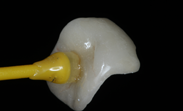 Creación en laboratorio_1