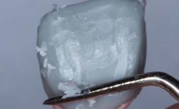 Creación en laboratorio_7